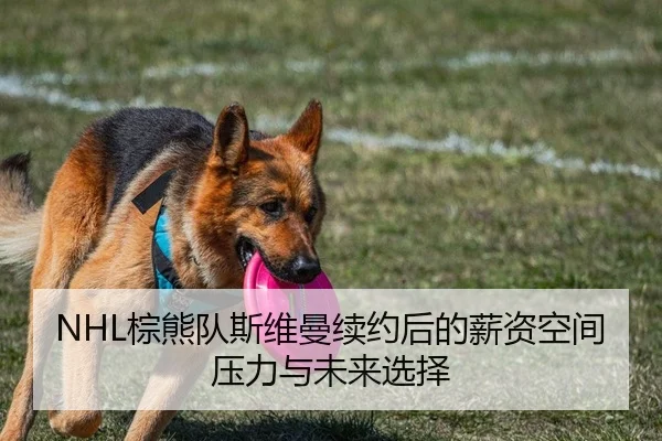 NHL棕熊队斯维曼续约后的薪资空间压力与未来选择